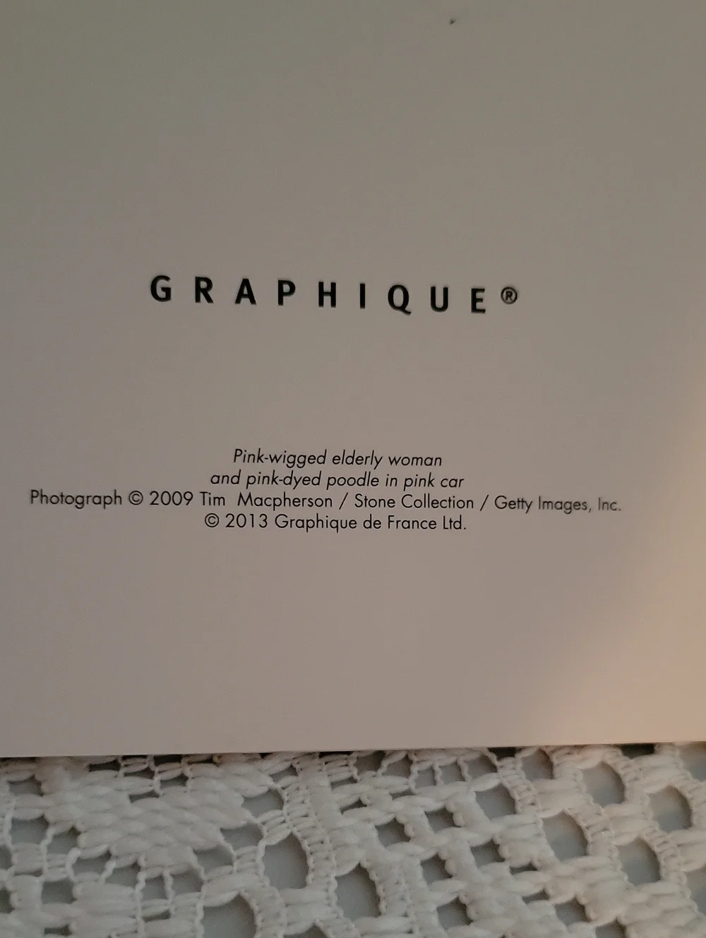 Graphique woman with poodle